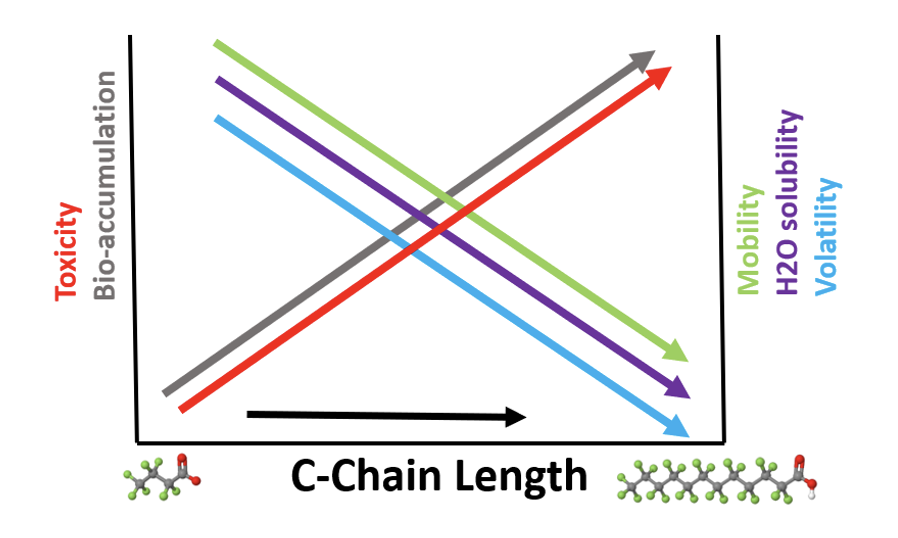 schema-4